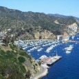 Catalina Trip Tomorrow at 4 o’clock, Team Marine coach Mr. Kay, along with members Kalon, Ivan, Annie, Cassandra, and Angelina will be loading a boat on our way to Catalina Island. For...