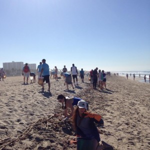 beach cleanup 2016