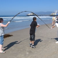 Beach Clean Ups