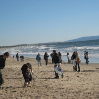Beach Clean Ups